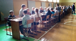 Chess (14)