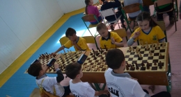 Chess 05 2015 (10)