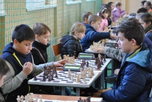 School Chess League (13).JPG