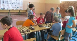 chess (16)