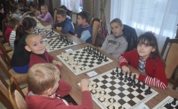 children's  chess (18)