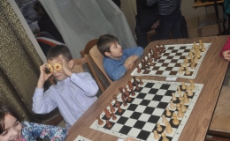 children's  chess (19)