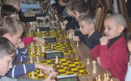 children's  chess (21)