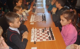 children's  chess (27)