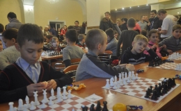 children's  chess (29)